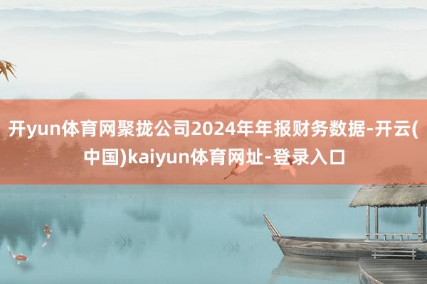 开yun体育网聚拢公司2024年年报财务数据-开云(中国)kaiyun体育网址-登录入口