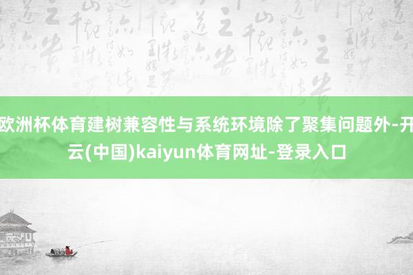 欧洲杯体育建树兼容性与系统环境除了聚集问题外-开云(中国)kaiyun体育网址-登录入口