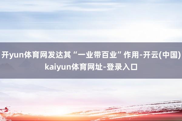 开yun体育网发达其“一业带百业”作用-开云(中国)kaiyun体育网址-登录入口