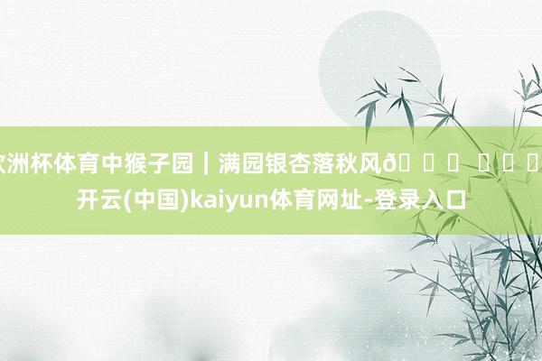 欧洲杯体育中猴子园｜满园银杏落秋风🍂 ​​​-开云(中国)kaiyun体育网址-登录入口