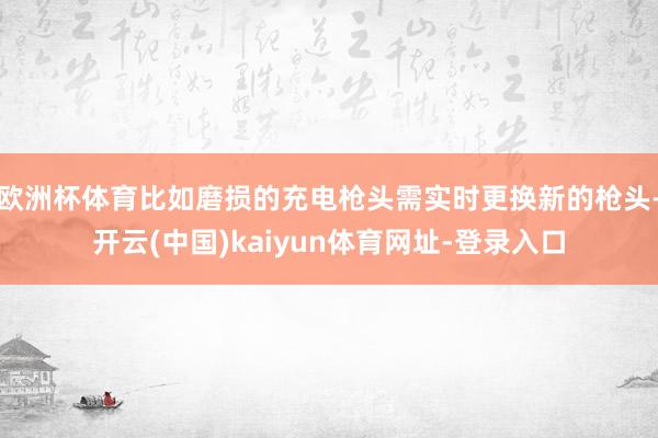 欧洲杯体育比如磨损的充电枪头需实时更换新的枪头-开云(中国)kaiyun体育网址-登录入口