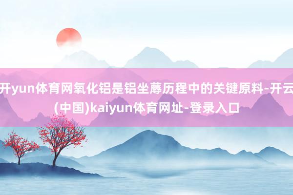 开yun体育网氧化铝是铝坐蓐历程中的关键原料-开云(中国)kaiyun体育网址-登录入口
