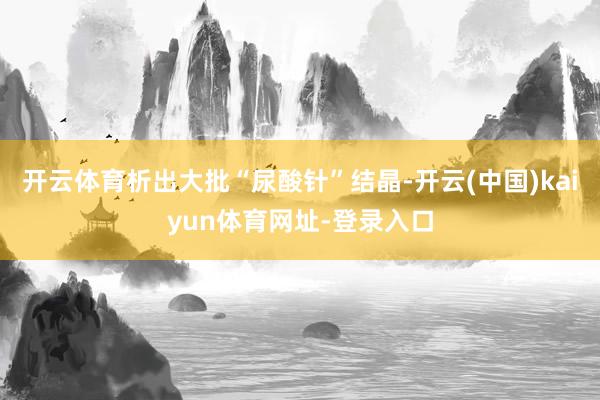 开云体育析出大批“尿酸针”结晶-开云(中国)kaiyun体育网址-登录入口