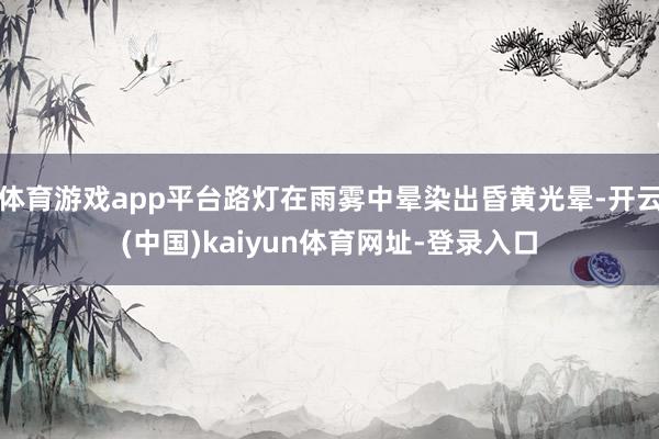 体育游戏app平台路灯在雨雾中晕染出昏黄光晕-开云(中国)kaiyun体育网址-登录入口