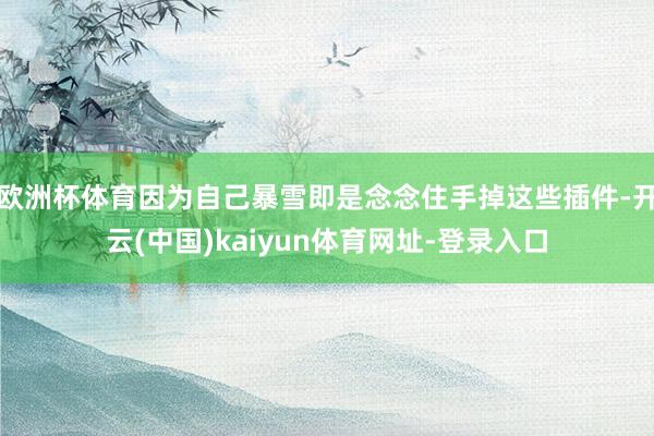 欧洲杯体育因为自己暴雪即是念念住手掉这些插件-开云(中国)kaiyun体育网址-登录入口