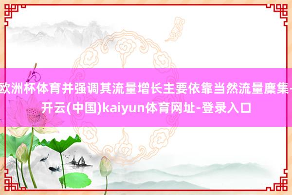 欧洲杯体育并强调其流量增长主要依靠当然流量麇集-开云(中国)kaiyun体育网址-登录入口