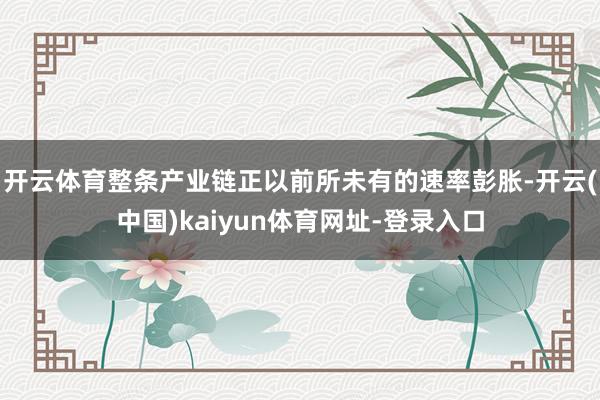 开云体育整条产业链正以前所未有的速率彭胀-开云(中国)kaiyun体育网址-登录入口