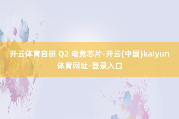 开云体育自研 Q2 电竞芯片-开云(中国)kaiyun体育网址-登录入口