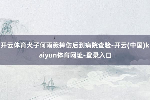 开云体育犬子何雨薇摔伤后到病院查验-开云(中国)kaiyun体育网址-登录入口